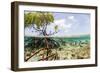 Over and under Water Photograph of a Mangrove Tree , Background Near Staniel Cay, Bahamas-James White-Framed Photographic Print