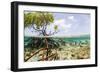 Over and under Water Photograph of a Mangrove Tree , Background Near Staniel Cay, Bahamas-James White-Framed Photographic Print