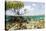 Over and under Water Photograph of a Mangrove Tree , Background Near Staniel Cay, Bahamas-James White-Stretched Canvas