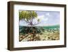 Over and under Water Photograph of a Mangrove Tree , Background Near Staniel Cay, Bahamas-James White-Framed Photographic Print