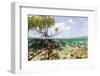 Over and under Water Photograph of a Mangrove Tree , Background Near Staniel Cay, Bahamas-James White-Framed Photographic Print