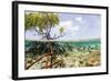 Over and under Water Photograph of a Mangrove Tree , Background Near Staniel Cay, Bahamas-James White-Framed Photographic Print