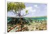 Over and under Water Photograph of a Mangrove Tree , Background Near Staniel Cay, Bahamas-James White-Framed Photographic Print