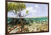 Over and under Water Photograph of a Mangrove Tree , Background Near Staniel Cay, Bahamas-James White-Framed Photographic Print