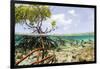 Over and under Water Photograph of a Mangrove Tree , Background Near Staniel Cay, Bahamas-James White-Framed Photographic Print