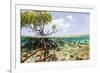 Over and under Water Photograph of a Mangrove Tree , Background Near Staniel Cay, Bahamas-James White-Framed Photographic Print