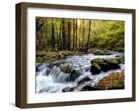 Over Flow I-Danny Head-Framed Art Print