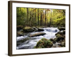 Over Flow II-Danny Head-Framed Art Print