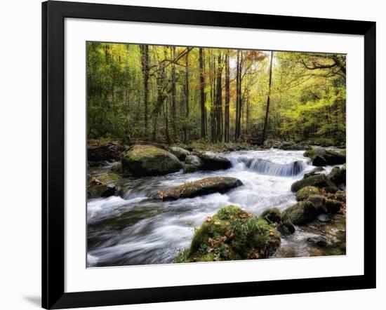 Over Flow II-Danny Head-Framed Art Print