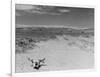 Over Grazed Land-Arthur Rothstein-Framed Photographic Print