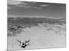 Over Grazed Land-Arthur Rothstein-Mounted Photographic Print