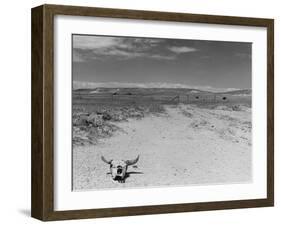 Over Grazed Land-Arthur Rothstein-Framed Photographic Print