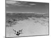 Over Grazed Land-Arthur Rothstein-Mounted Photographic Print