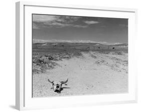 Over Grazed Land-Arthur Rothstein-Framed Photographic Print