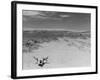 Over Grazed Land-Arthur Rothstein-Framed Photographic Print