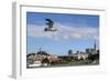 Over SF-Giuseppe Torre-Framed Photographic Print