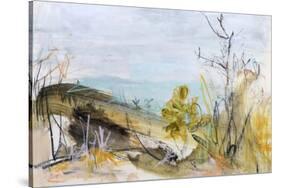 Over The Dune, Clarkes Beach-Ann Gordon-Stretched Canvas