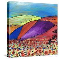 Over the Fence-Caroline Duncan-Stretched Canvas