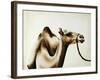 Over the Hump-Sydney Edmunds-Framed Premium Giclee Print