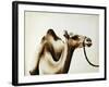 Over the Hump-Sydney Edmunds-Framed Premium Giclee Print