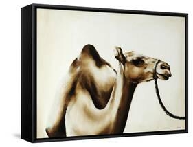 Over the Hump-Sydney Edmunds-Framed Stretched Canvas