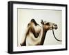 Over the Hump-Sydney Edmunds-Framed Giclee Print