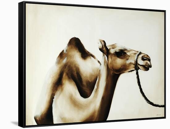 Over The Hump-Sydney Edmunds-Framed Stretched Canvas