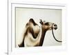 Over The Hump-Sydney Edmunds-Framed Giclee Print