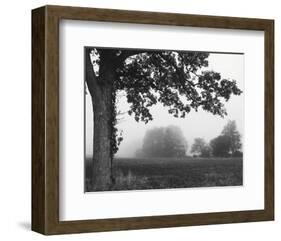 Over the Meadow-Erin Clark-Framed Art Print