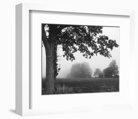 Over the Meadow-Erin Clark-Framed Art Print