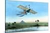 Over the Nile and the Pyramids in a Plane-null-Stretched Canvas