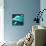 Over The Ocean-Nancy Tillman-Mounted Art Print displayed on a wall