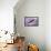 Over the Purple Mountains-Jai Johnson-Framed Stretched Canvas displayed on a wall