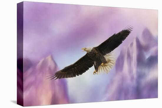 Over the Purple Mountains-Jai Johnson-Stretched Canvas
