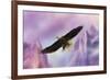 Over the Purple Mountains-Jai Johnson-Framed Giclee Print