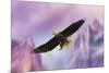 Over the Purple Mountains-Jai Johnson-Mounted Giclee Print