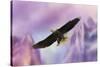 Over the Purple Mountains-Jai Johnson-Stretched Canvas