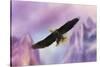 Over the Purple Mountains-Jai Johnson-Stretched Canvas