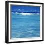 Over the Reef-Derek Hare-Framed Giclee Print