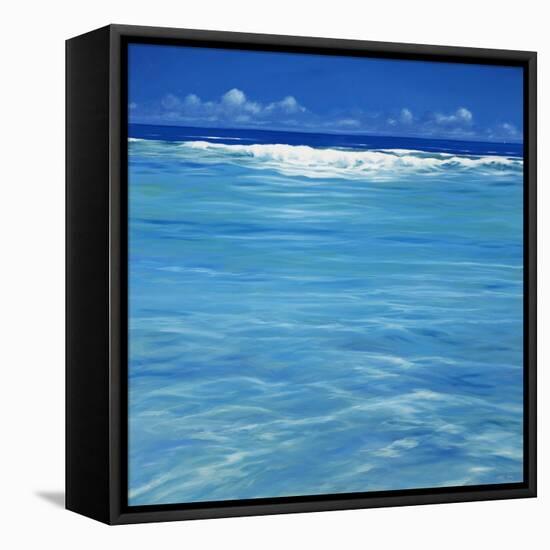 Over the Reef-Derek Hare-Framed Stretched Canvas