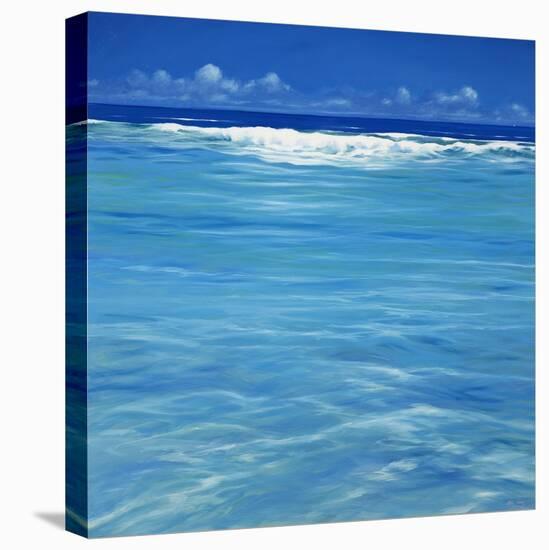 Over the Reef-Derek Hare-Stretched Canvas