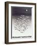Over the Sea 1, 1993-Evelyn Williams-Framed Giclee Print