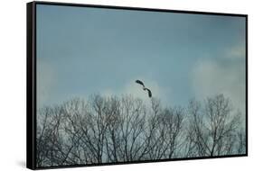 Over the Treeline-Jai Johnson-Framed Stretched Canvas