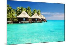 Over Water Bungalows Bora Bora-null-Mounted Premium Giclee Print