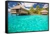Over Water Bungalows with Steps into Amazing Blue Lagoon-Martin Valigursky-Framed Stretched Canvas