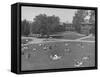 Overall View of Campus at Los Angeles City College-Peter Stackpole-Framed Stretched Canvas