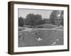 Overall View of Campus at Los Angeles City College-Peter Stackpole-Framed Photographic Print