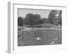 Overall View of Campus at Los Angeles City College-Peter Stackpole-Framed Photographic Print