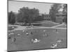 Overall View of Campus at Los Angeles City College-Peter Stackpole-Mounted Photographic Print