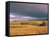 Overberg Landscape, Western Cape, South Africa, Africa-Alain Evrard-Framed Stretched Canvas